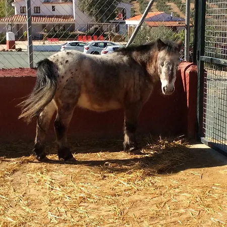 Santa Marta Casa Rural Con Pista De Padel Archidona